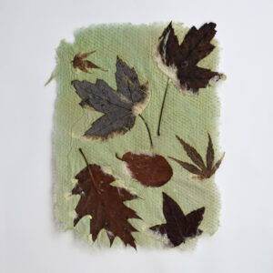 Autumn Leaves